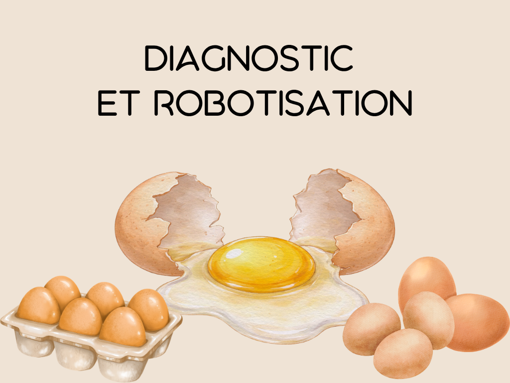 Produits à base d&rsquo;œufs