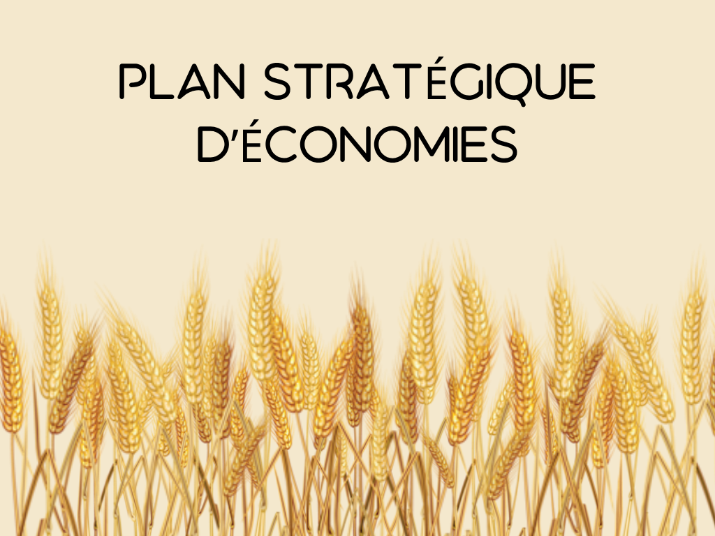Produits à base de céréales